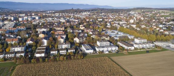 Seelandgas AG Energie